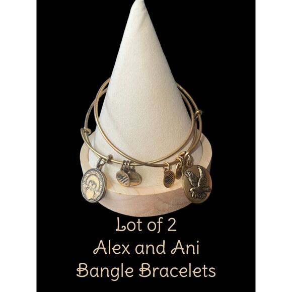 Lot of 2 Alex and Ani Charm bangle bracelets EUC - Picture 1 of 4